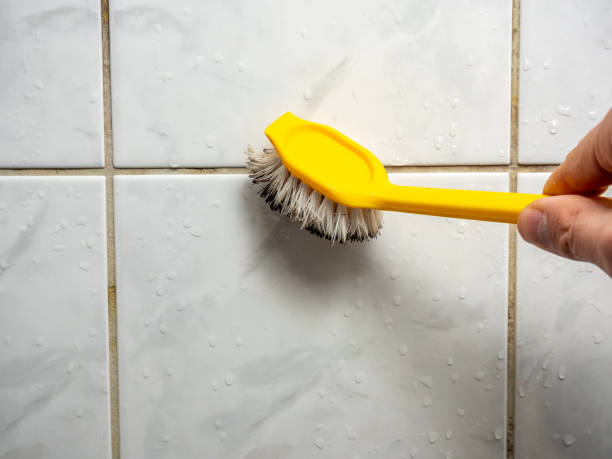 Professional Mold Removal in Stevensville, MI