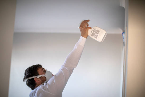 Best Mold Remediation Experts  in Stevensville, MI